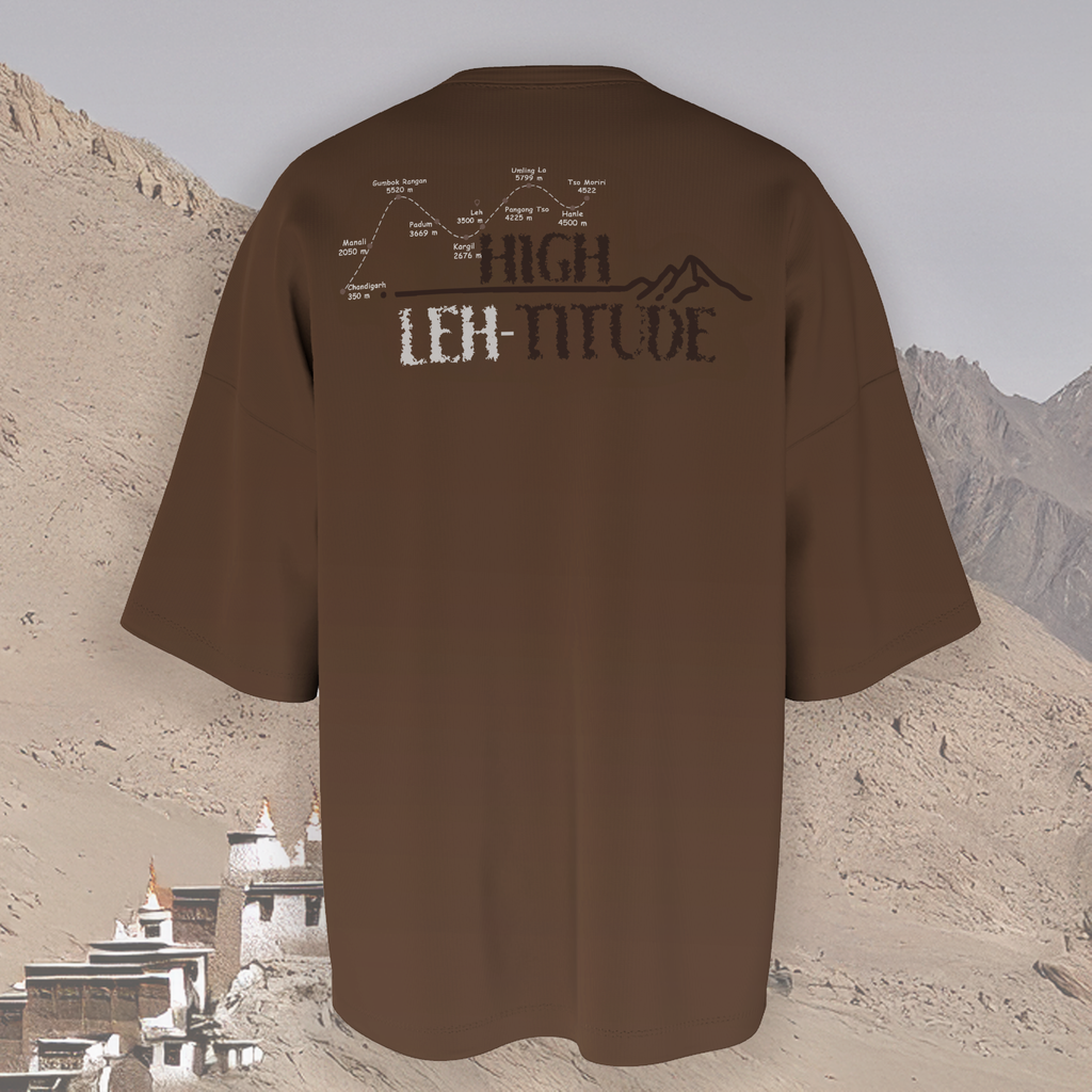 Leh-titude Oversized T-Shirt - Brown - Back View - Unisex Streetwear