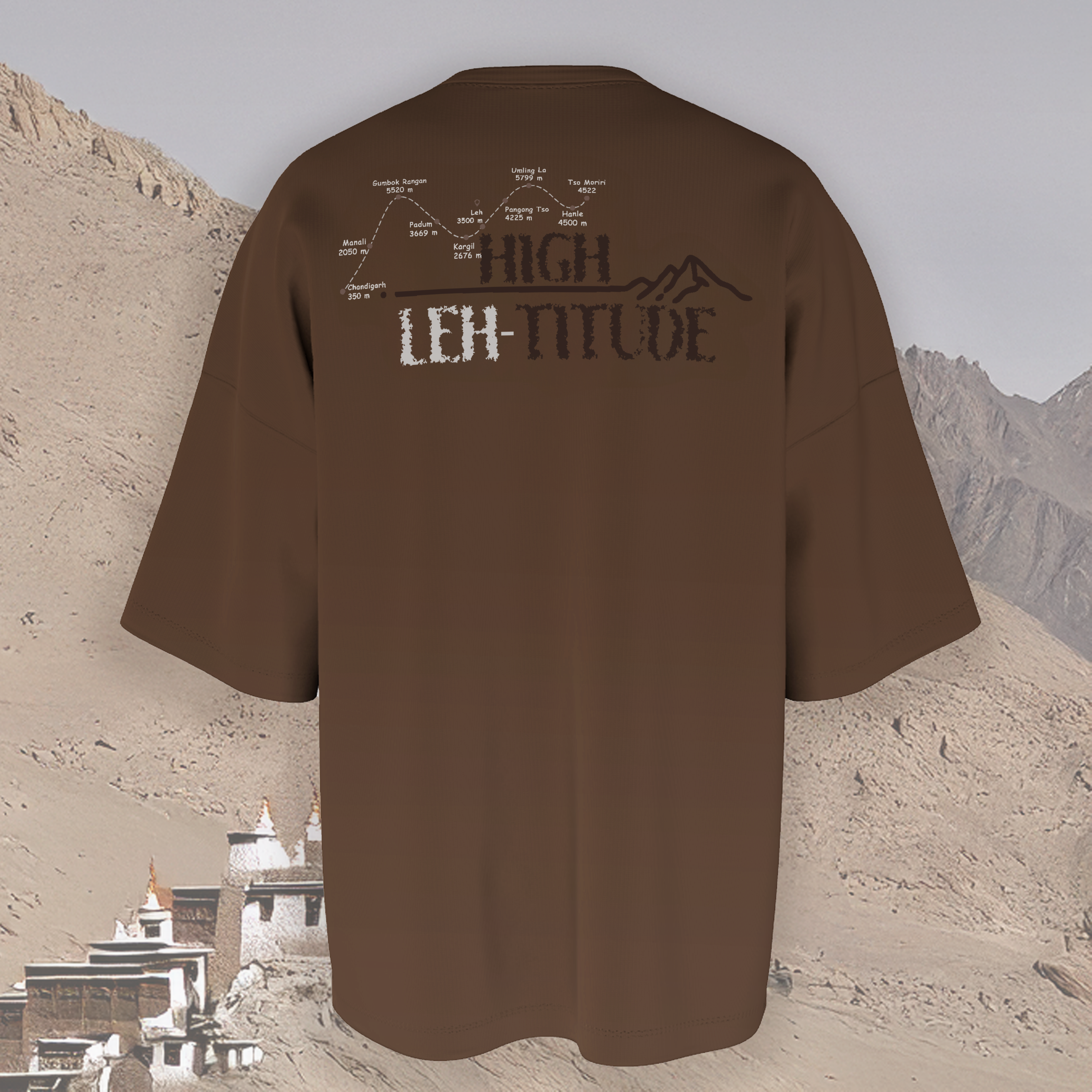 Leh-titude Oversized T-Shirt - Brown - Back View - Unisex Streetwear