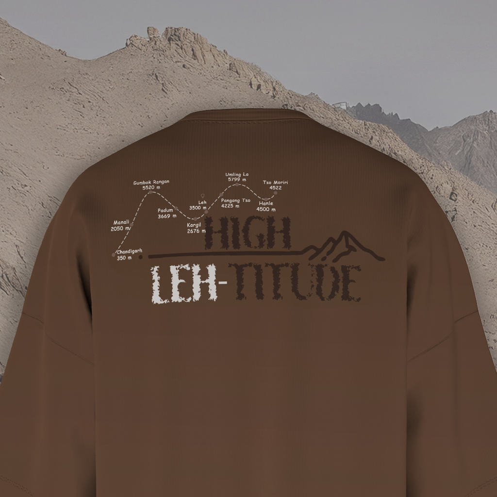 Leh-titude Oversized T-Shirt - Brown - Back Detail View - Unisex Streetwear