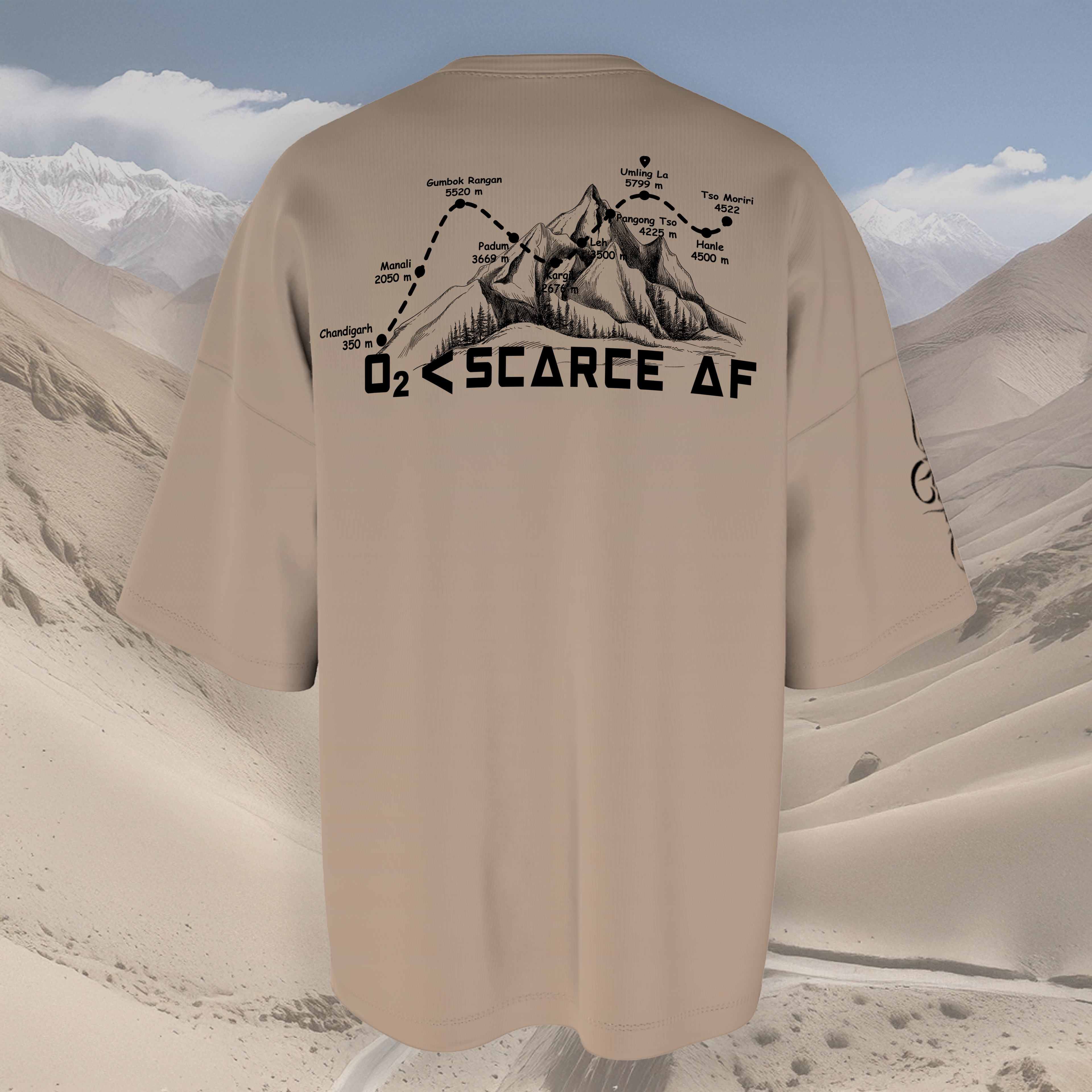 Beige oversized  t-shirt with mountain graphic and text on a desert landscape